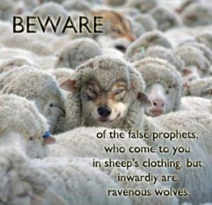 wolf in sheep's clothing